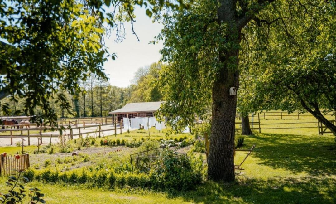 Ferienhof Trapp Ellringen 外观 照片
